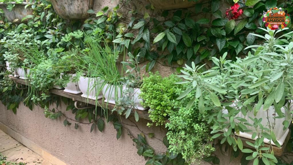 horta suspensa - como fazer uma horta orgânica