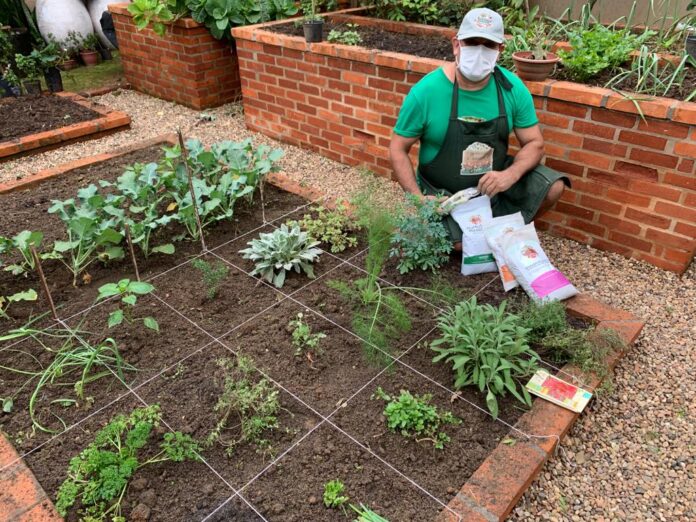 Como Fazer Uma Horta Org Nica Blog Do Jardineiro Amador