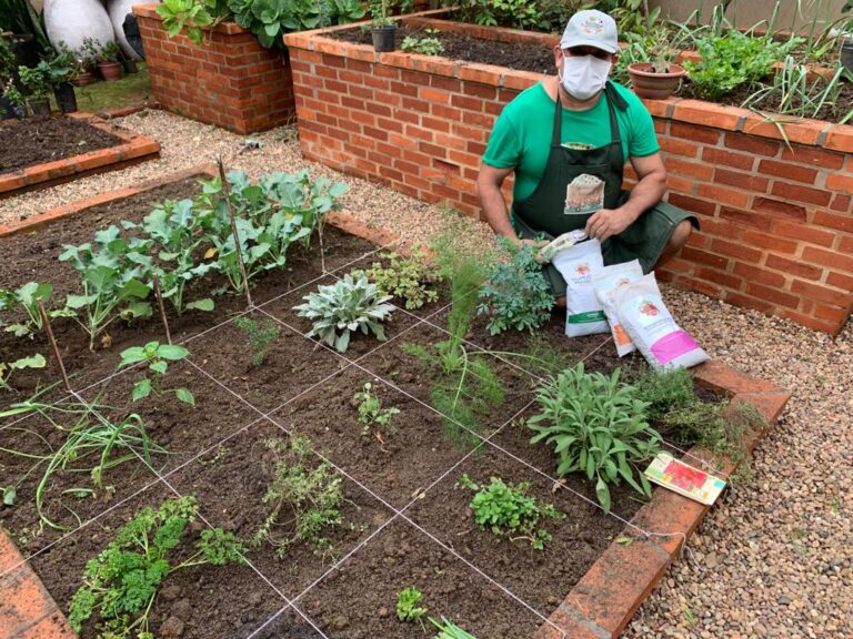 como fazer uma horta orgânica