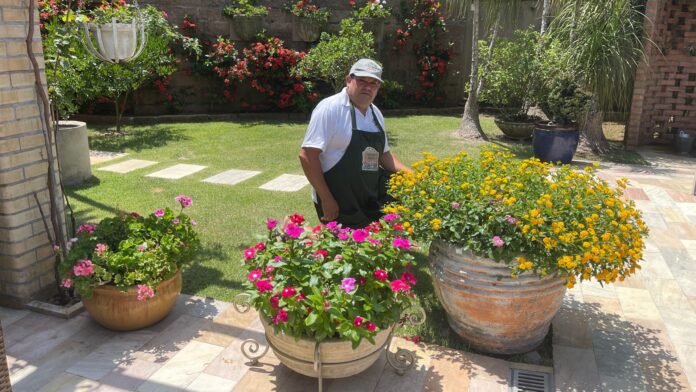 Conheça o Jardineiro Amador. Pratique jardinagem amadora e cultive uma horta, pomar ou jardim e viva em conexão com a natureza.