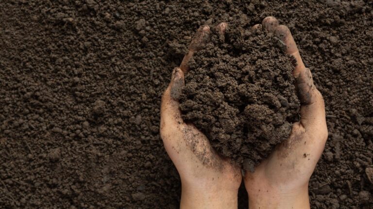 Como Preparar Terra Orgânica Turbinada