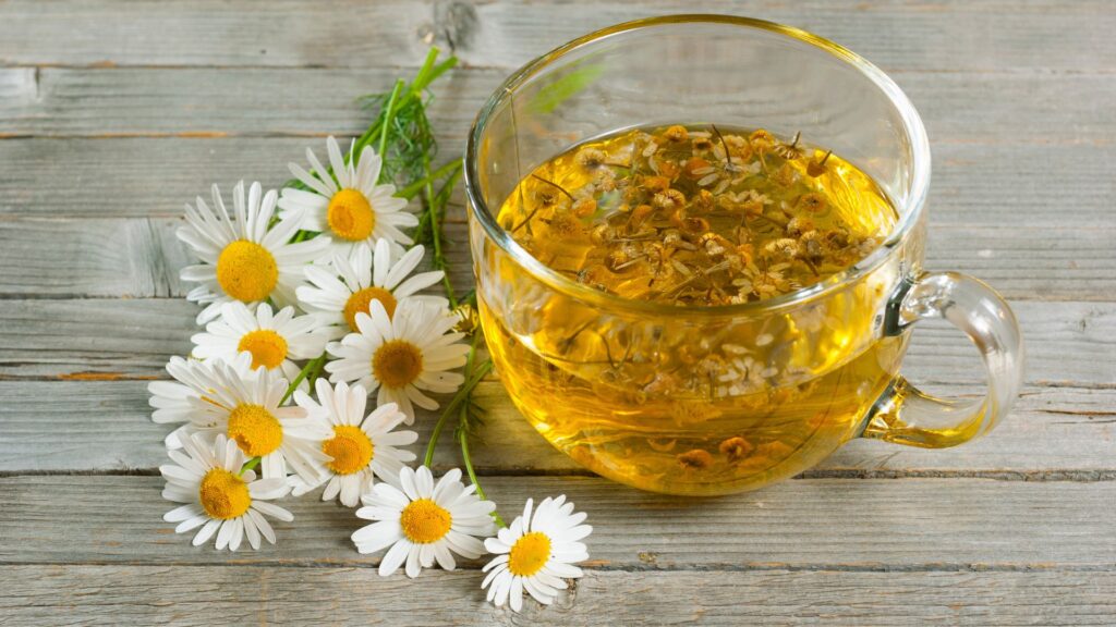 Chá de Camomila | Poderes Medicinais
